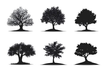 Fototapeta premium Set of tree and leaf collection hand drawn flat design vector element. botanical set of bare trees and ones with leaves and lush green. Illustration of Eucalyptus tree isolated on white