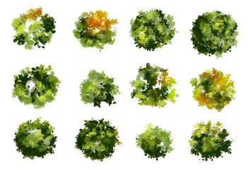 Vertor set of green tree,plants top view for landscape plan,schematic layout,eco environment concept design,watercolor greenery illustration