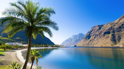 Tropical Beach with Palm Trees and Mountains