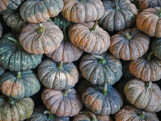 A pile of pumpkin for sale in market