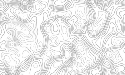 Vector tree rings seamless background, subtle pattern. topographic map background concept, Topographic map.