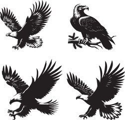  Eagle Black-and-White Silhouettes Collection, Mid-Flight, Perched, Diving, Soaring, eagle perched, eagle flying, eagle diving, eagle vector, black and white silhouette of eagle isolated on white 