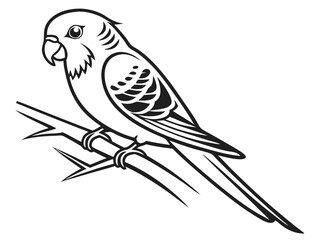 Fototapeta premium budgie logo, black outline, vector graphic, transparent background