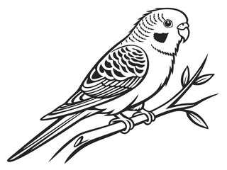 Obraz premium budgie logo, black outline, vector graphic, transparent background