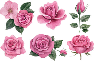 seamless pattern with roses
