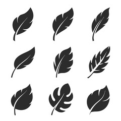 Nature Leaf Silhouette Bundle Vector.