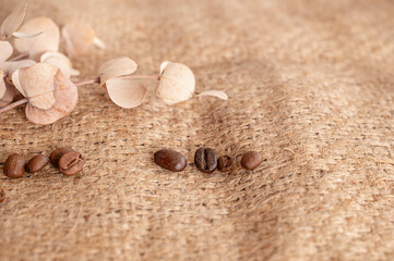 並んだ不揃いのコーヒー豆