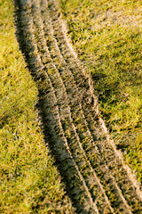 Reifenspuren im Gras