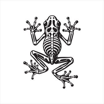 froge vector