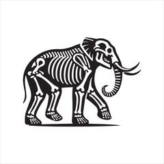 Elephant vector