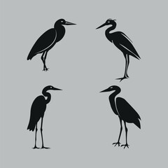 Heron Bird Hand-drawn Design