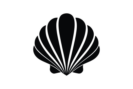 Illustration of a seashell on a black background, marine design  