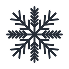 winter snowflake weather icon