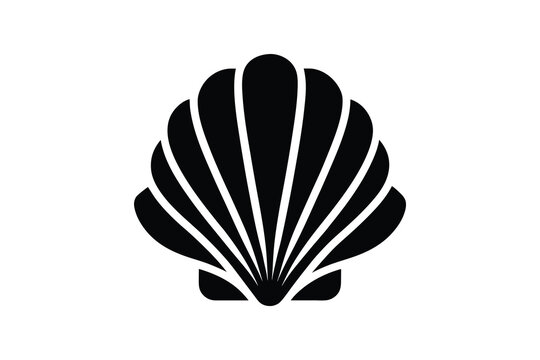 Illustration of a seashell on a black background, marine design  