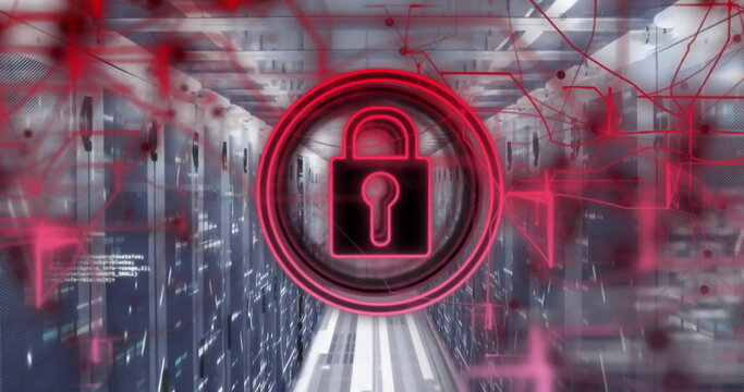 Image of paldock and digital data processing over computer servers - Powered by Adobe