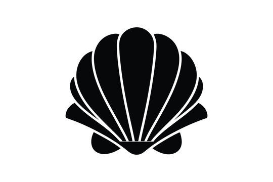 Illustration of a seashell on a black background, marine design  