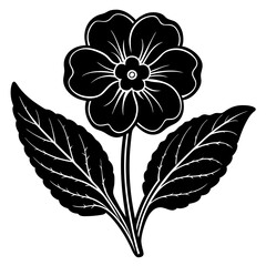 black and white flowers