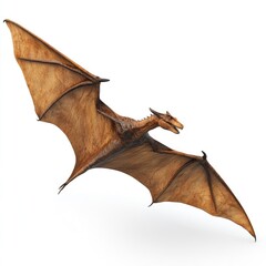 Naklejka premium Brown dragon soaring; fantasy creature in flight against white background; digital art illustration