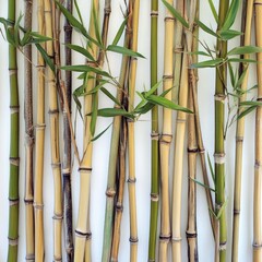Fototapeta premium Bamboo Decoration Against Wall