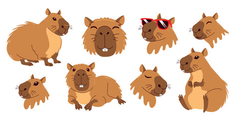 Cute capybara set. Various postures and expressions, white background. Funny flat  animal collection. Hand drawn capibara isolated print design for sticker, postcard, tshirt.