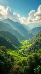 Naklejka premium Vibrant landscape of Colombia, lush green coffee plantations in the mountains