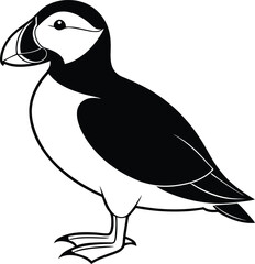 Atlantic Puffin silhouette vector illustration, Atlantic Puffin line art vector, Atlantic Puffin vector design