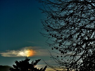 Colorful picturesque sky with Parhelion on Cirrostratus clouds and dark branches trees in autumn evening. Topics: optical phenomenon, air space, weather, meteorology, sun energy, natural environment