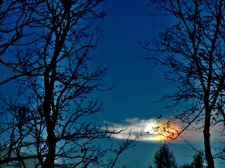 Colorful picturesque sky with Parhelion on Cirrostratus clouds and dark branches trees in autumn evening. Topics: optical phenomenon, air space, weather, meteorology, sun energy, natural environment