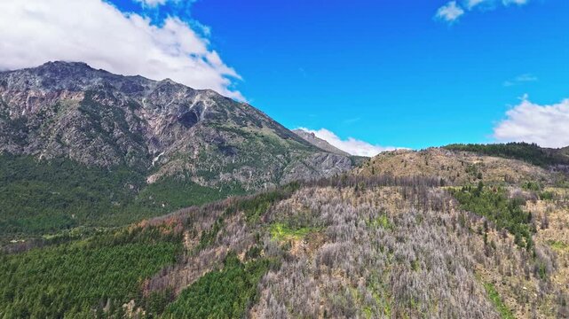 An unforgettable trip to the mountains. The dramatic peaks of Mount Fitz Roy, revealing their soaring heights. The journey continues over the lush green forest that blankets the mountain's base.