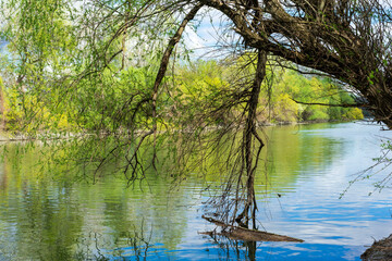 Dniester River, View from one bank to the other