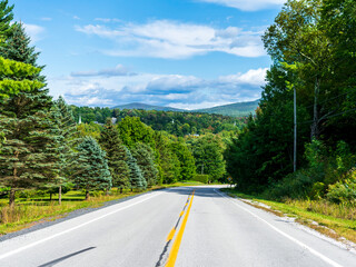 Fototapeta premium Asphalt road through pine forest