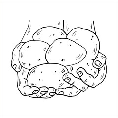 Graphics vector black outline hands with potatoes