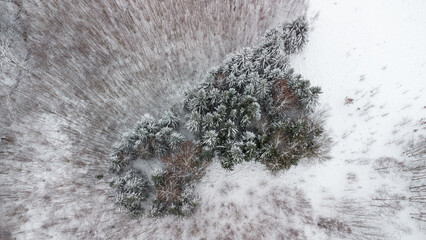 drone photography in big snow Latvia landscape.