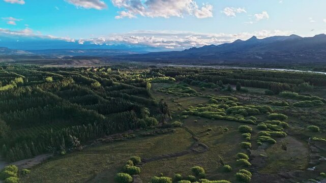 Forests, waters and mountains. This mesmerizing drone video showcases the peaceful beauty of the region, with its verdant forests and fields meeting the crystal-clear waters of the lake. 23.01.2025