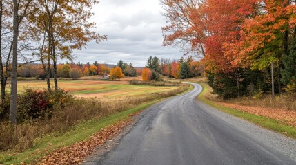 Winding road through colorful autumn foliage leading to a distant farm field landscape
