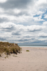 Dunes on a calm beach in New Zealand with grass on top and perfect blue sky during a summer morning (New Zealand)