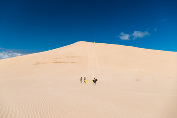 Sandboarding on Giant Sand Dunes near Cape Reinga in the northern most part of New Zealand (North Island, New Zealand)