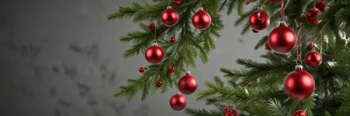Fototapeta premium Full-length photo of a single, decorated Christmas tree branch with multiple red ball ornaments, evergreen tree, christmas tree branches, holiday decoration