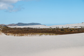 Sand dunes as seen on the beaches of Farewell Spit on a calm summer day (South Island, New Zealand)
