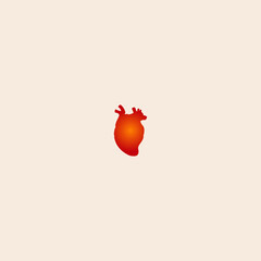 ANATOMICAL HEART icon flat vector design.