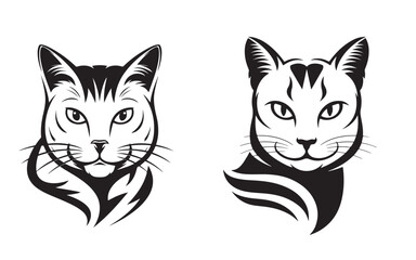 Obraz premium cat vector
