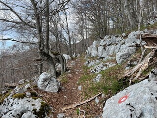 Premuzic hiking trail or Premuzic Trail - Velebit Nature Park, Croatia or Premuzic-Wanderweg or Premuzic's Trail (Pješački planinarski put Premužićeva staza - Park prirode Velebit, Hrvatska)