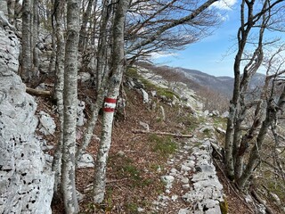 Premuzic hiking trail or Premuzic Trail - Velebit Nature Park, Croatia or Premuzic-Wanderweg or Premuzic's Trail (Pje&scaron;ački planinarski put Premužićeva staza - Park prirode Velebit, Hrvatska)
