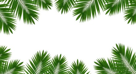 A set of green palm leaves forming a frame around the top edges of the image isolated on white background