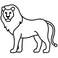 Lion Line Art Vector Illustration and Lion Outline Drawing