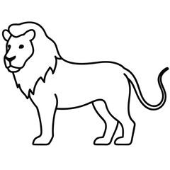 Lion Line Art Vector Illustration and Lion Outline Drawing