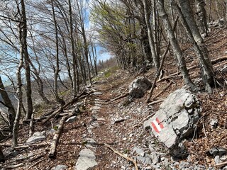 Obraz premium Premuzic hiking trail or Premuzic Trail - Velebit Nature Park, Croatia or Premuzic-Wanderweg or Premuzic's Trail (Pješački planinarski put Premužićeva staza - Park prirode Velebit, Hrvatska)