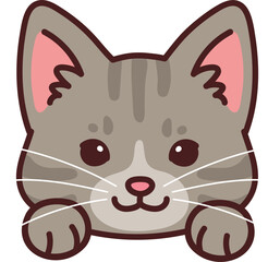 Simple and adorable Grey Tabby Cat front face with paws