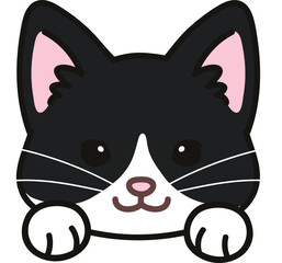 Simple and adorable Tuxedo Cat front face with paws