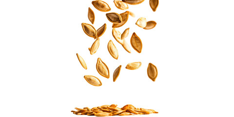 Falling pumpkin seeds isolated on transparent background